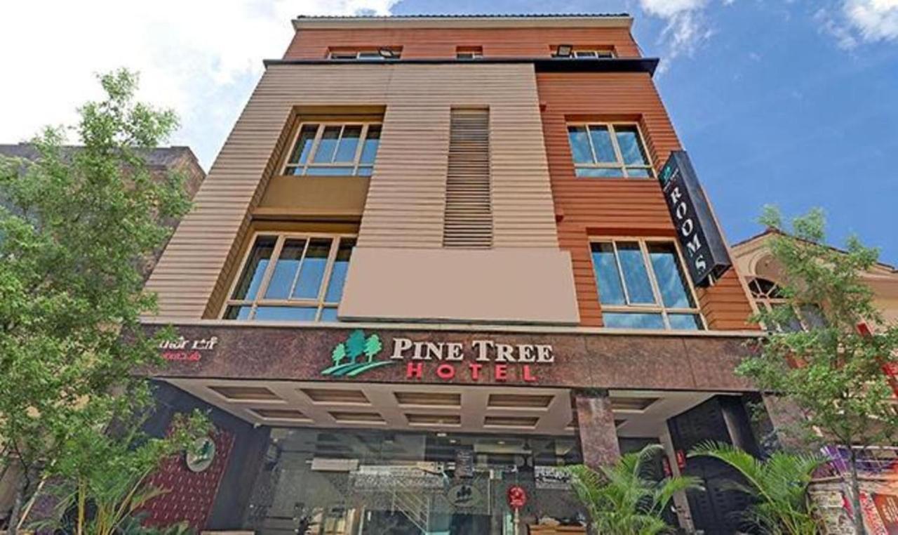 Pine Tree Boutique Hotel Ченай Екстериор снимка